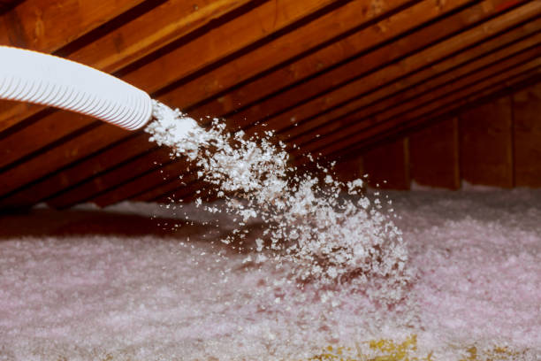 Best Residential Insulation in Lake Sarasota, FL