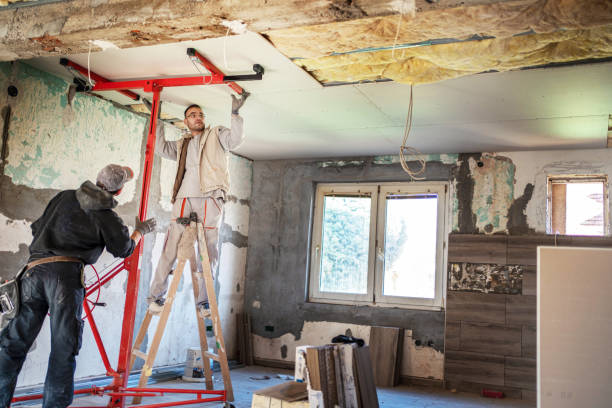 Best Insulation Installation Services in Lake Sarasota, FL
