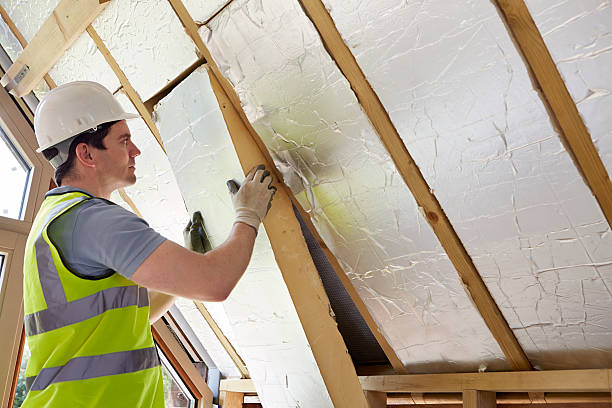 Best Types of Insulation in Lake Sarasota, FL