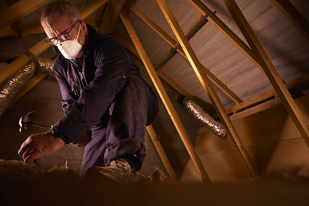 Best Insulation for Specific Applications in Lake Sarasota, FL