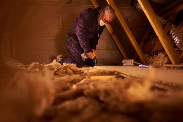 Best Insulation Maintenance and Repair in Lake Sarasota, FL